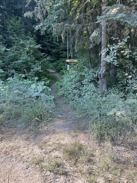 The end of Phillips Trail and back onto Mission Divide Rd for 20 feet.