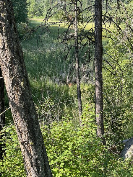 When you actually stop to get a shot of the wildlife:)