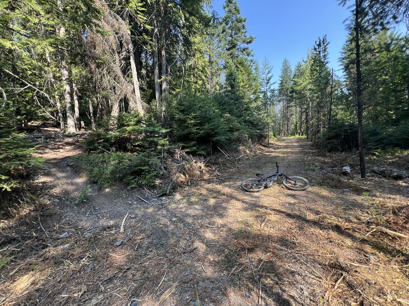 This Access Trail splits the lower tech trails in half so all the upper trails spill onto it and it gives you access to connect with all the lower trails off to your right.