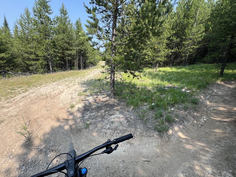 This is the end of Pine Grass. A sharp right on this road and then right off this road puts you on Muddy Bottoms.