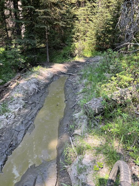 No matter how hot and dry it's been, there's always mud in the bottom.