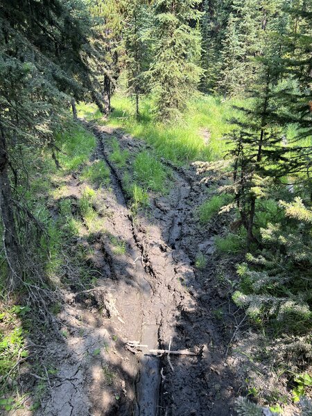 The good news is, you only have to hike a couple hundred yards around all the mud so this loop is still VERY worth it.