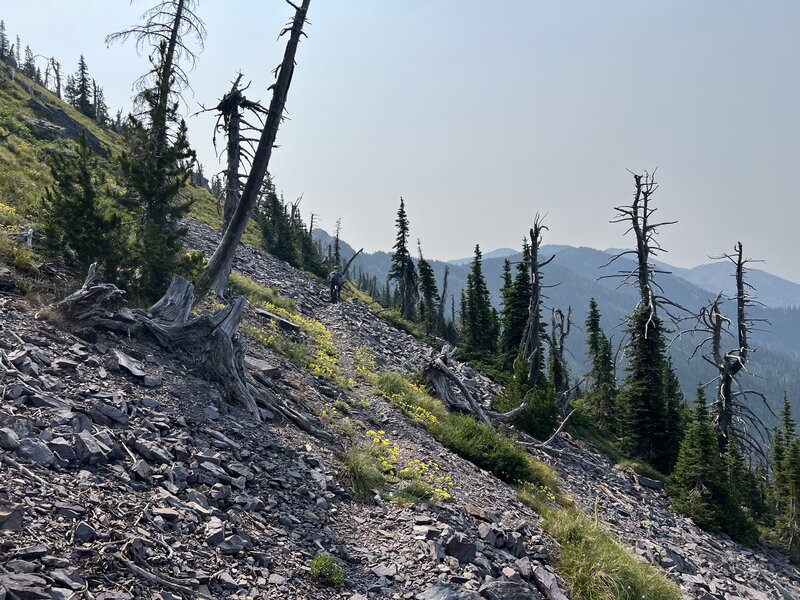 More raw, high-alpine sidehill.