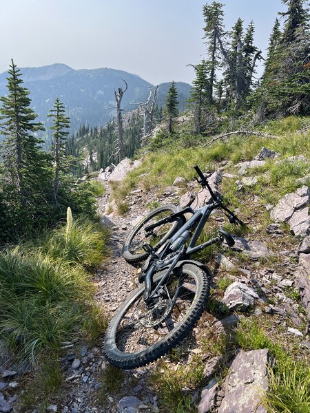 It truly looks like you have to ride off the cliff to start this downhill. Ride over the rock between the large slab on the right and the big rock on the left, aiming for that old snag before making sure your turn right quickly!