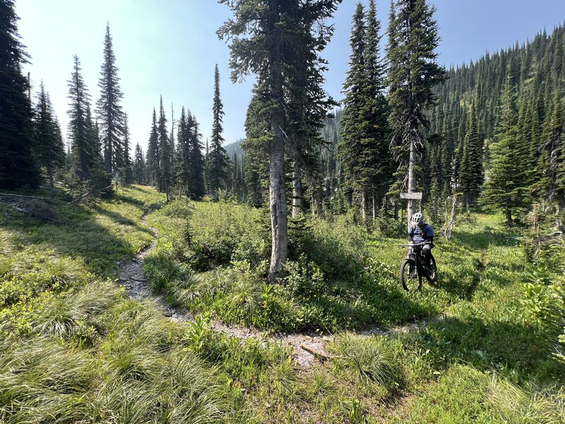 Left, which you can't even see, takes you into the Jewel Basin. Right continues you on our loop and towards Peterson Creek.