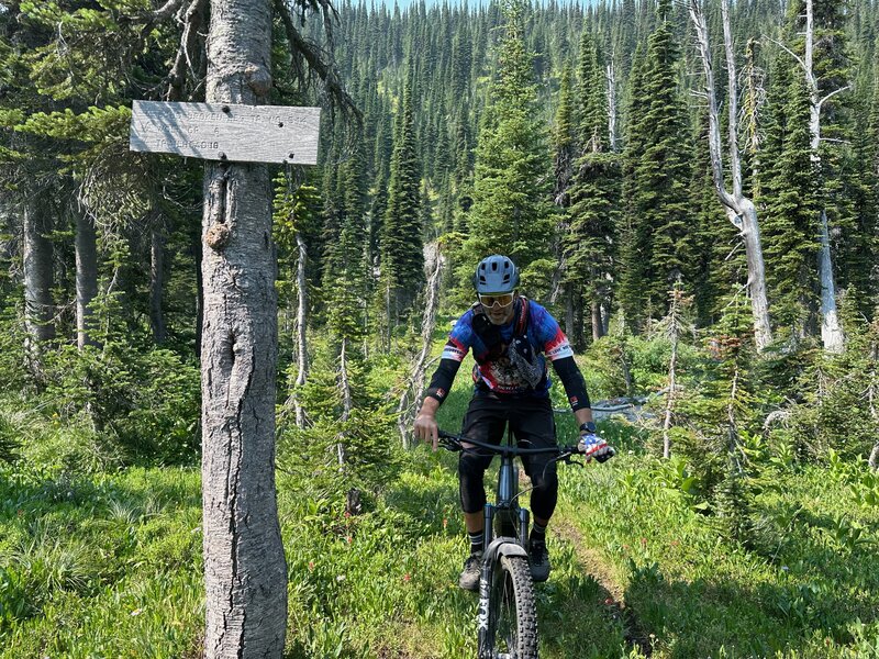 Broken Leg and Alpine Trail #7 junction.