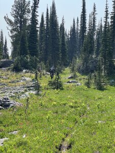 This is the most remote section of the Alpine Trail #7. It just doesn't see much use as you can tell.