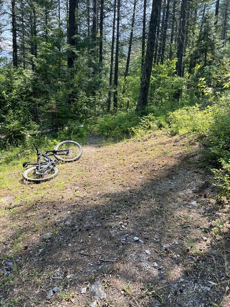 The end of Access Rd 10319 and the beginning of Sticks and Stones.