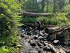 The end of Peterson Creek Trail #293 crossing Patterson Creek.