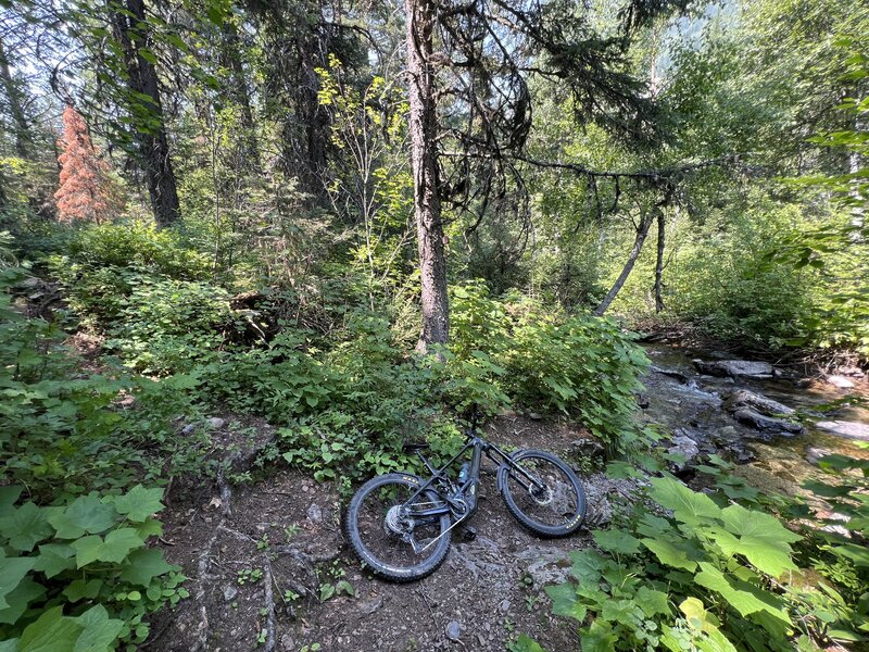 Done with Sticks and Stones, back to Wolf Creek, and ready for the home stretch back down the first section of Broken Leg Trail #544.