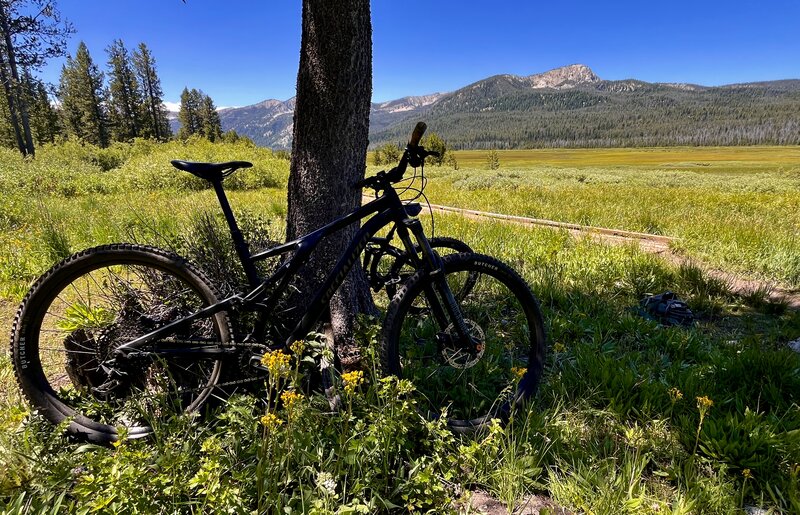 Awesome mountain meadows.