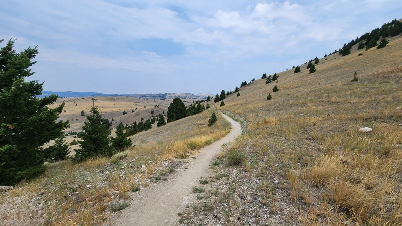 Traversing the side of the "M Hill" on the Big Butte Trail.