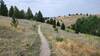 Traversing the Hillside on Neversweat Trail.