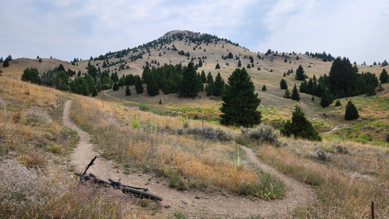 A trail switchback of Whisky Gulch West with the M Hill in the background.