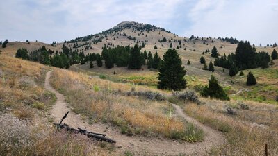 A trail switchback of Whisky Gulch West with the M Hill in the background.