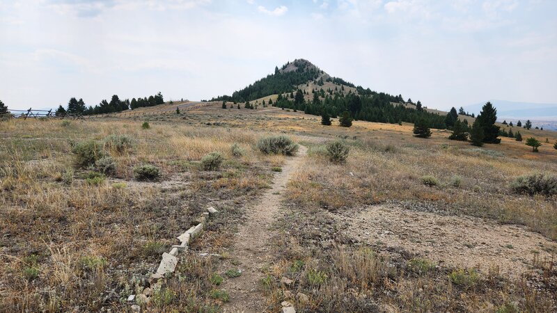 Near the top of the North Tech Trail looking towards the summit of the M Hill.