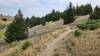 The lower section of Whisky Gulch trail as it traverses up and across the slope.