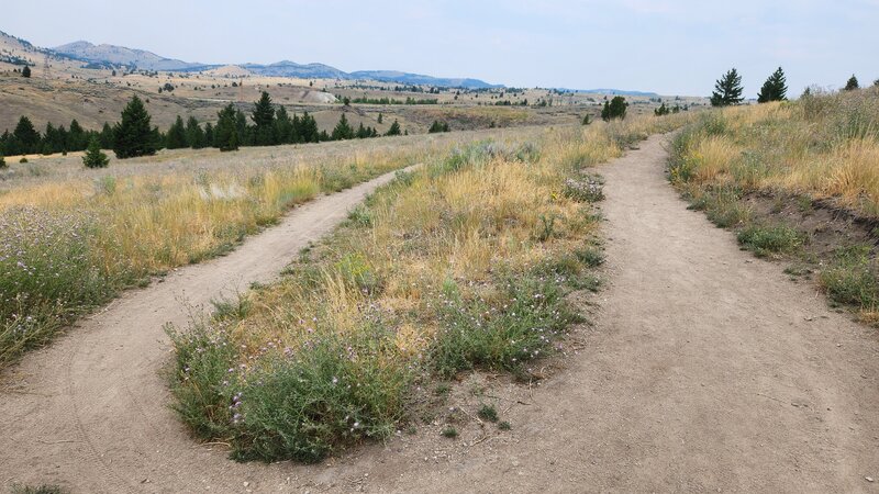 The switchbacks of upper Whisky Gulch Trail are smooth and at times slick.