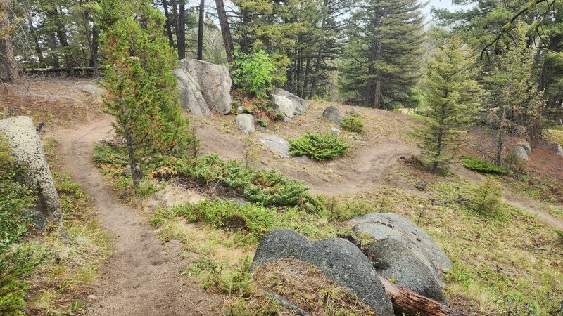 Grading Camp Trail is very windy, that is why the locals call it "The Switchback Trail."