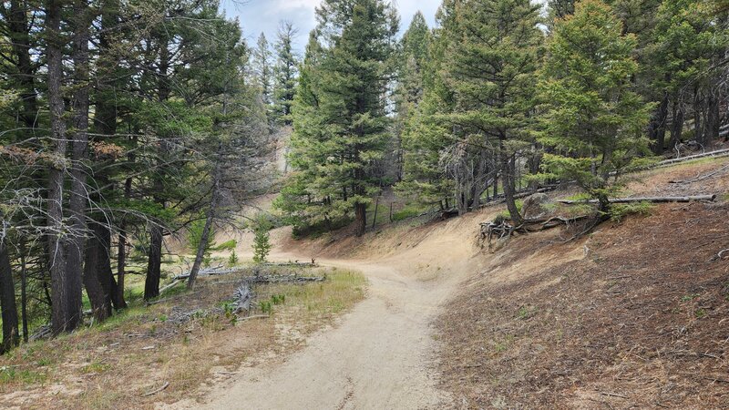 The top of German Gulch is the steepest section, but it is fun coming down.