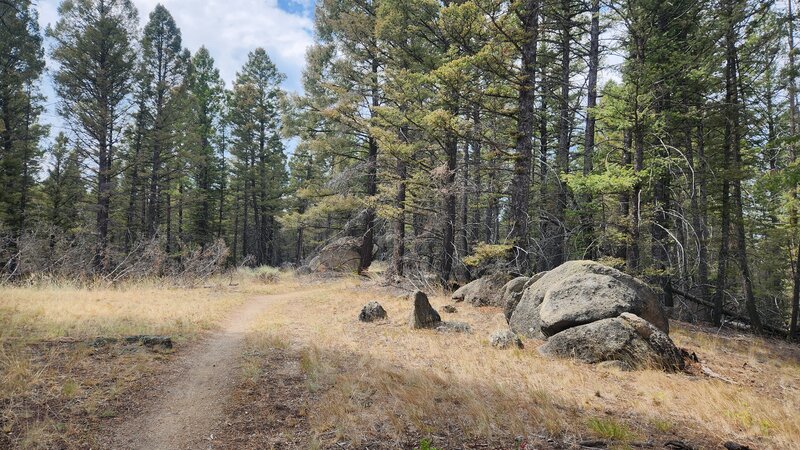 Interesting clumps of granite boulders line the Orman Camp Trail.