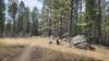 Interesting clumps of granite boulders line the Orman Camp Trail.