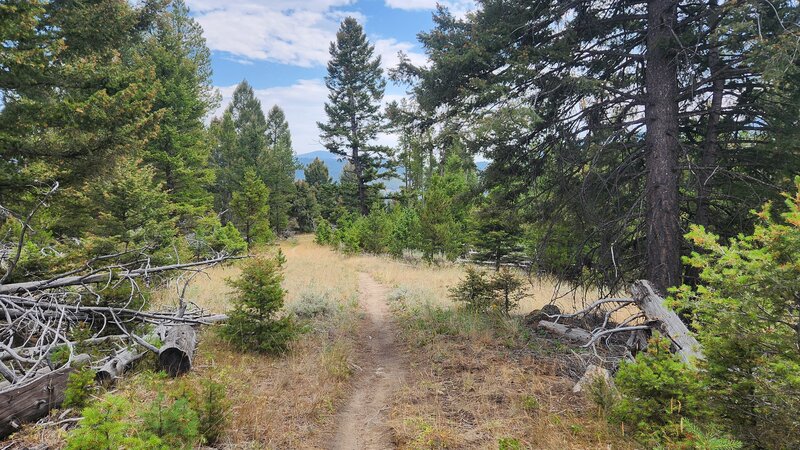 Glimpses of the Highlands Mountains Can be seen in the distance of Orman Camp Trail.