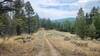 The smooth fast trail of Scouts Ridge with the mountains of the Continental Divide in the background.