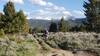 Mountain Bikers ride downhill on Roosevelt Loop Trail with the Highland Mountains in the background.