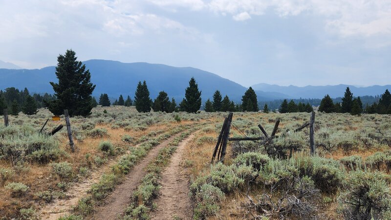 Roosevelt loop trail is sometimes like doubletrack as it travels through open sagebrush meadows.