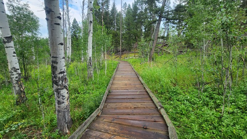 Johns Gulch Trail has several small sections of boardwalk, and this one is the longest.