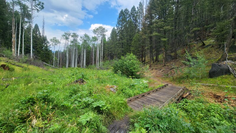 Johns Gulch Trail passes over a small stream near the bottom of the gulch.