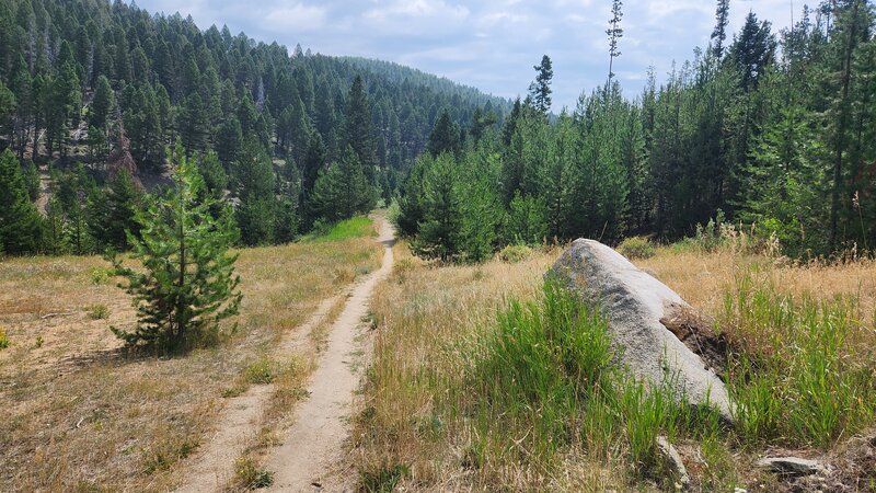 The lower and flatter section of Lions Den Trail looking up towards the forested hills of Thompson Park.