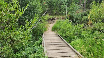At the bottom of Graham Canyon Trail there is a small wooden bridge.