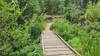 At the bottom of Graham Canyon Trail there is a small wooden bridge.