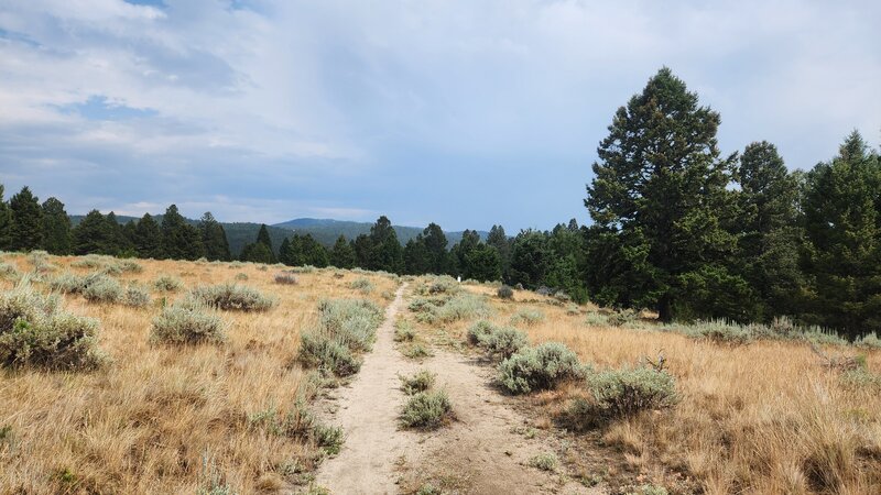 Sage Brush Loop trail is an relatively easy and flat trail suitable for families with small children.