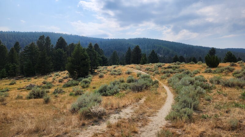 Nice views of the hills of Thompson Park from the Sagebrush Flat Loop Trail.