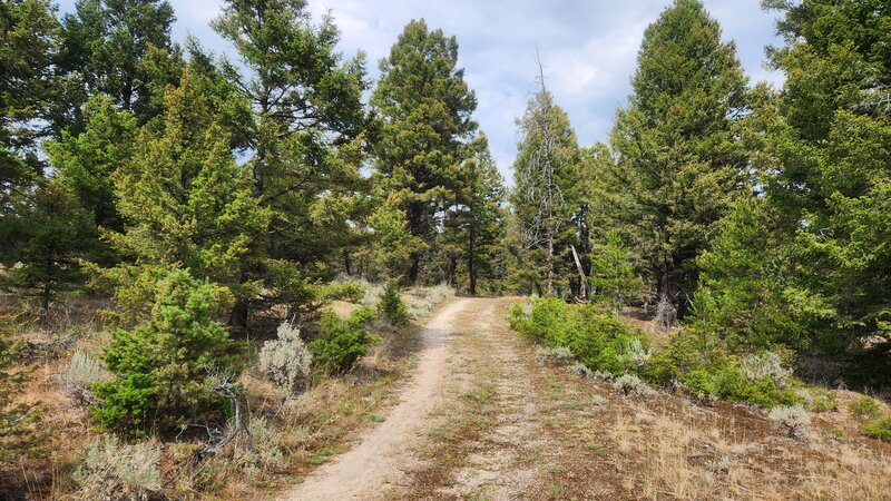 The Sagebrush Flat Loop Trail is like doubletrack in some places and singletrack in others.