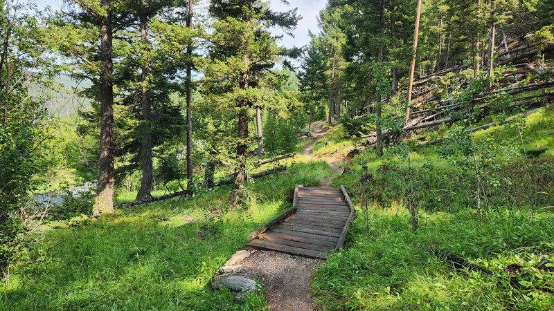 A small wooden bridge on Placer Trail at Thompson Park.