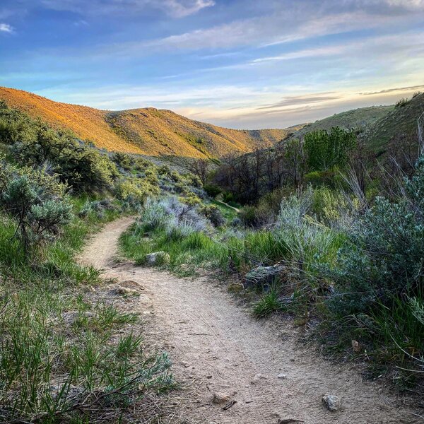 Five Mile Gulch Trail