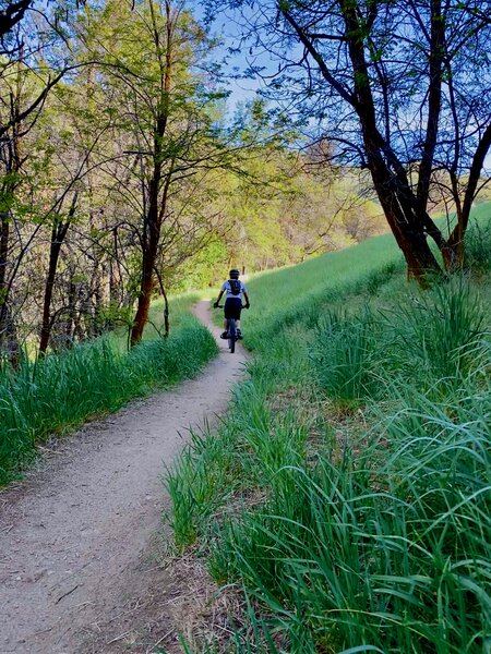 Climbing Five Mile Gulch Trail.