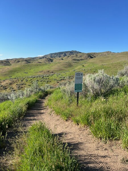 Hawkins Loop, directional sign.