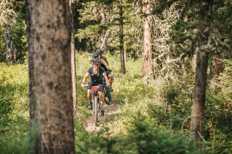 People riding an easy singletrack trail through conifer forest.