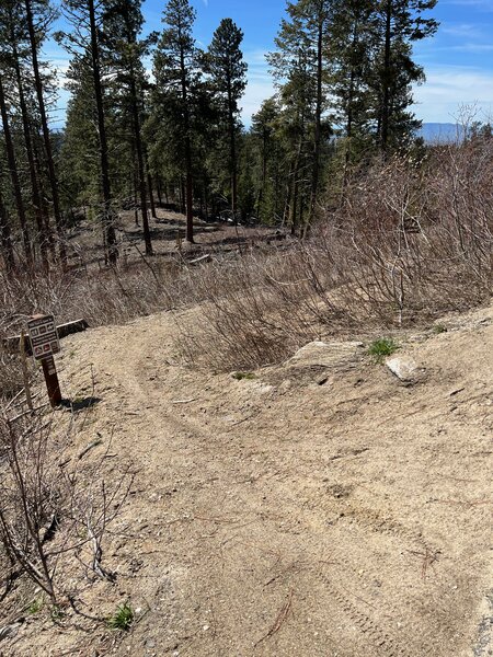 Eastside trail entrance just off Bogus Basin road.