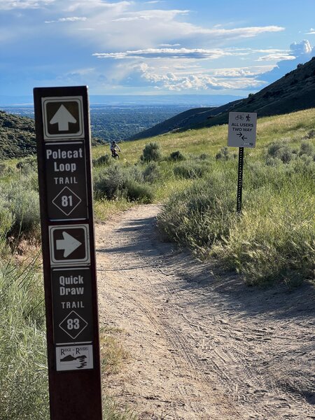 Climbing up to Quick Draw trail on the two way section of Polecat loop.