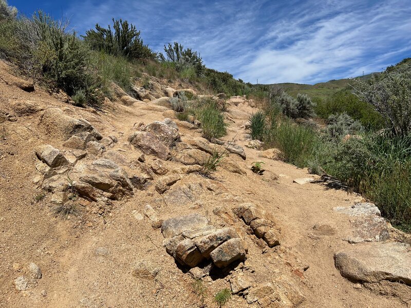 Looking up at one of the rock sections on Bobs Trail.