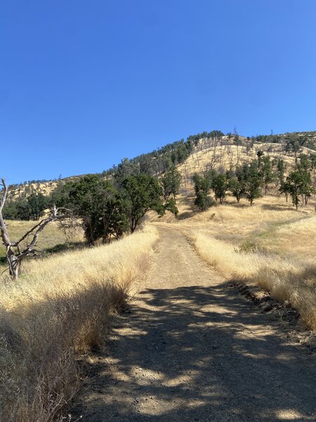 The ride up to the parking lot.