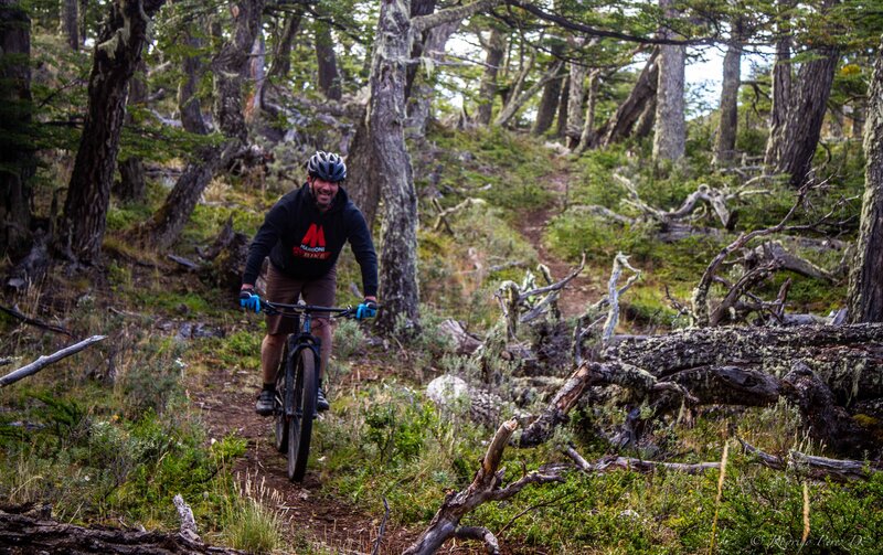 Freddy coming down at the beginning of the forest.