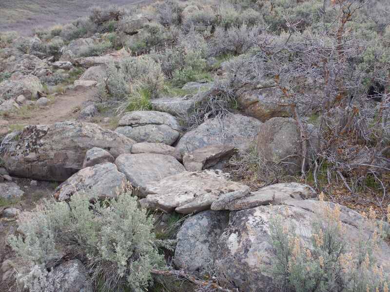 The rock garden