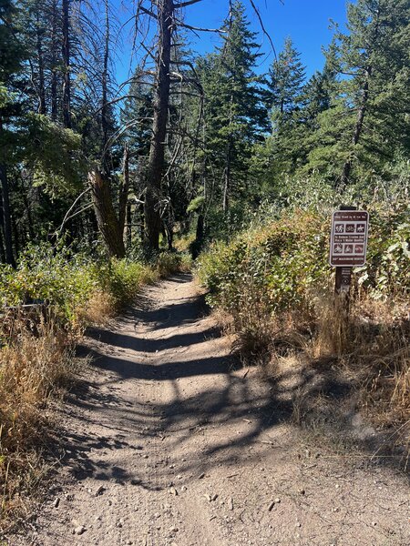 Trail #4 entrance from the Ridge Road above Boise.